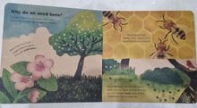Load image into Gallery viewer, Book - Bees by Carmen Saldana