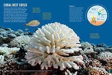 Load image into Gallery viewer, Books - Britannica All New Children's Encyclopedia: What We Know & What We Don't (Hardback)