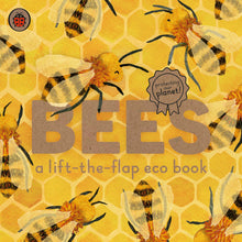Load image into Gallery viewer, Book - Bees by Carmen Saldana